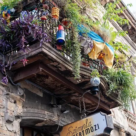Vincent 2 Budapest